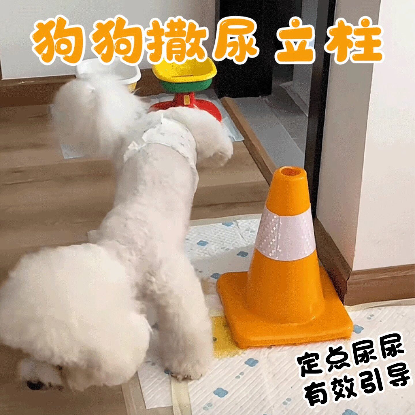 狗厕所尿尿用定点上神器