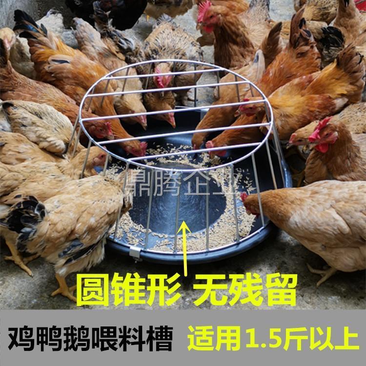 喂鸡料槽鸡鸭鹅采食槽养鸡场专用喂料器塑料料盘分隔