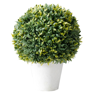 速发简约创意植物装饰个性绿植小盆栽室内客厅办公室桌面摆设