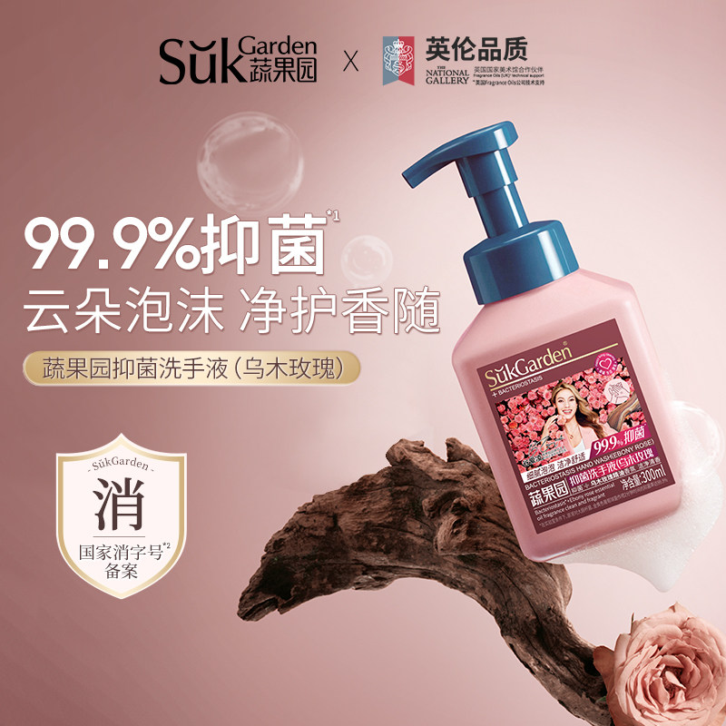 蔬果园抑菌洗手液乌木玫瑰持久留香泡沫型300ml家庭通用装