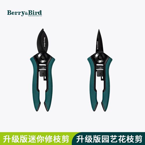 园艺省力er园艺剪刀By&花剪家用花卉盆栽修枝剪森林i专用Brrd插花