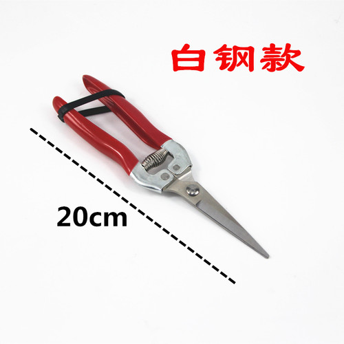 葡萄采果桔子蔬果剪枝修枝摘果剪园艺果树修果工具摘水果剪刀神器