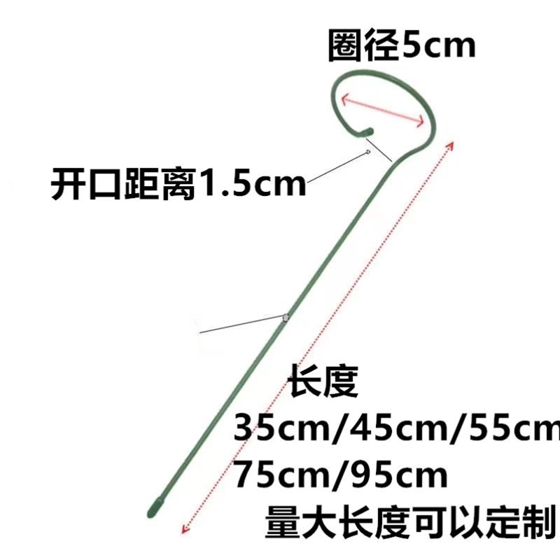 植物防倒伏支架铁艺绣球吊兰支撑杆园艺固定架爬藤花卉朱顶红花架