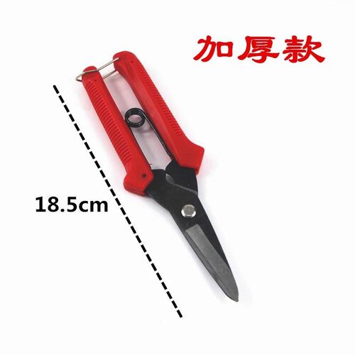 不锈钢葡萄桔子剪刀修枝剪稀果采摘水果花椒神器专用修剪工具家用