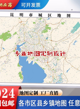 城区街道新版卫星电子地图定制
