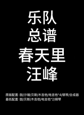 C116乐队总谱 春天里 汪峰 鼓 贝斯 吉他 钢琴 乐队谱 PDF附音频