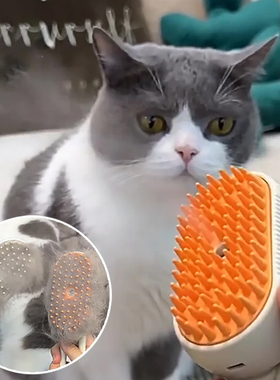 Steamy Cat Brush 3 in 1 Electric Anti-splashing Handle Cat B