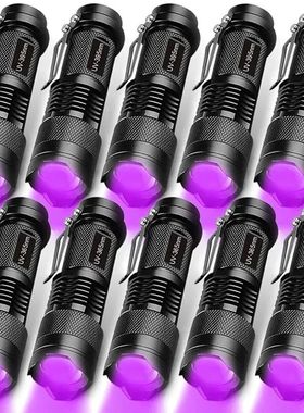 Linterna UV de luz negra para mascotas, Detector de orina pa