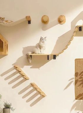 Montado Na Parede De Gato Escalada árvore, Prateleiras De M