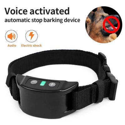 Collar de ennamiento para perros recargable por USB, Collar