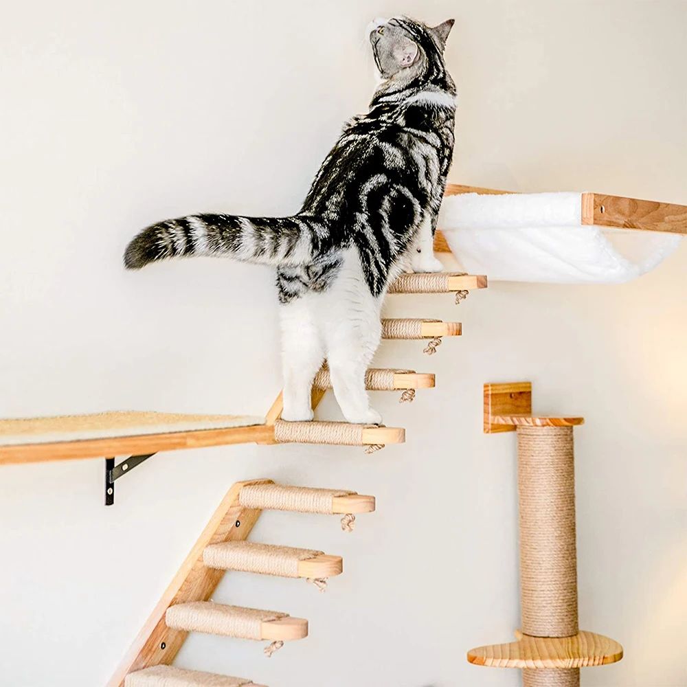 Wall Mounted Cat Stairway com Sisal Scratcher, Escalada Pass