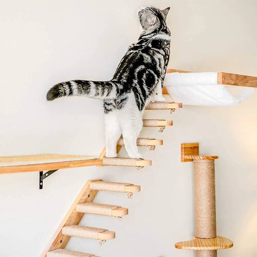 Wall Mounted Cat Stairway com Sisal Scratcher, Escalada Pass