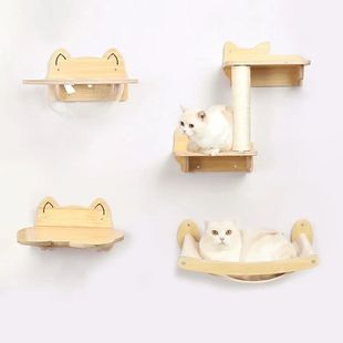 Hammock Post Prateleiras Scratching parede Cat para and