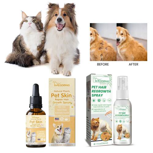 Tratamento líquido para perda de cabelo de gato, tratamento