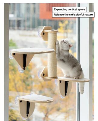 Mewoofun-Air Cat Escalada Quadro, Vidro Ventosa Wall Shelf,