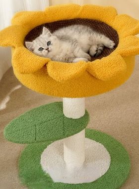 Cat Escalada Quadro Escada Escadas, Cat Tower Brinquedos, Fl