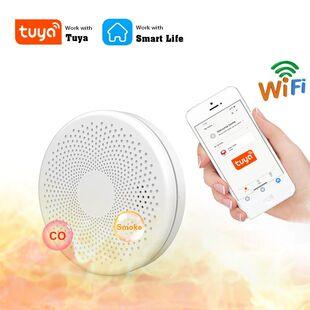 Tuya Smart Co & Smoke Detector, Alarme, Monóxido de Carbono