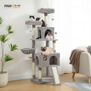 Frete Grátis Multi-Level Cat Tree Para Gatos Com Poleiros C