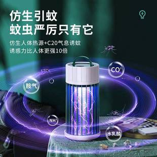 Indoor Zapper Outdoor Mosquito Insect Electric Killer Bug