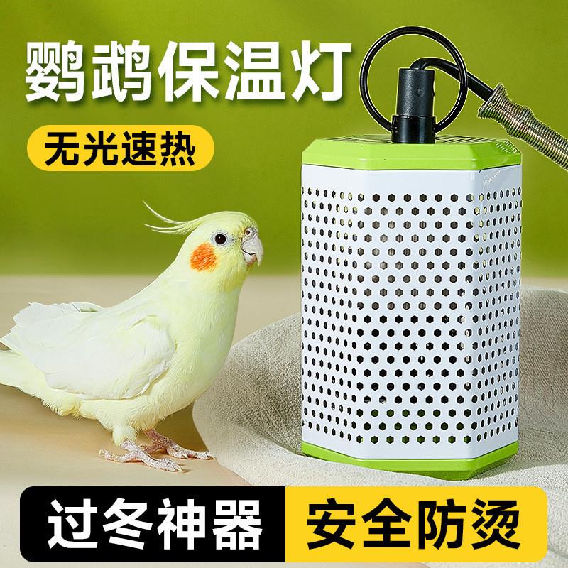 鹦鹉保温灯智能恒温玄凤虎皮过冬神器鸟笼瓷加热灯冬天取暖器无