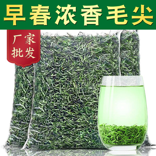 【工厂直销】毛尖绿茶2026新茶叶浓香型茶叶散装高山茶袋装炒青茶