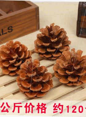 Oil pine props handmade materials Christmas pine cones