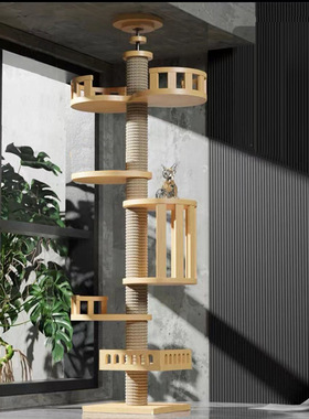 Standing tall and towering, connected by pillars, cat climbi