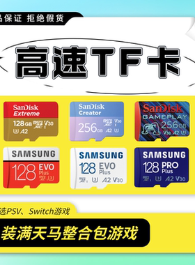 Ayaneo Pocket Airmini/DS/DMG/ACE装满游戏TF卡Sandisk高速A2卡