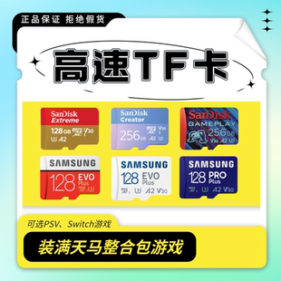 Ayaneo Pocket Airmini/DS/DMG/ACE装满游戏TF卡Sandisk高速A2卡