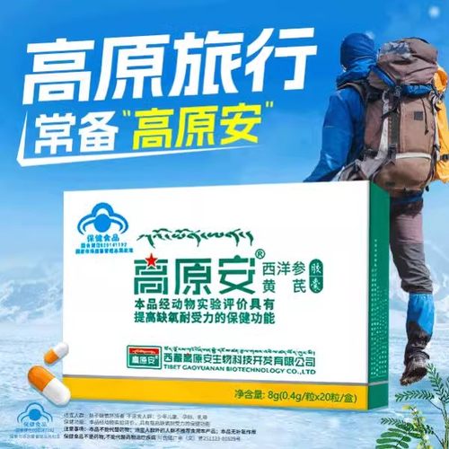 高原安西洋参黄芪胶囊提高缺氧耐受力 8g(0.4g/粒*20粒/盒)