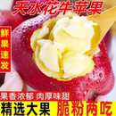 当季 现货甘肃天水花牛苹果水果新鲜粉面沙甜红蛇皮果宝宝辅食刮泥