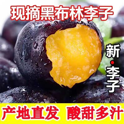 九甜一酸！陕西黑布林大李子新鲜