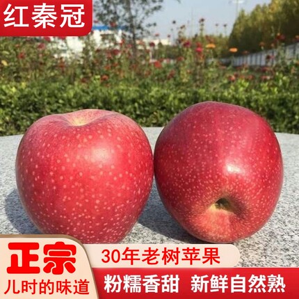 正宗陕西高原秦冠苹果新鲜水果粉面沙甜一整箱宝宝辅食老人刮泥