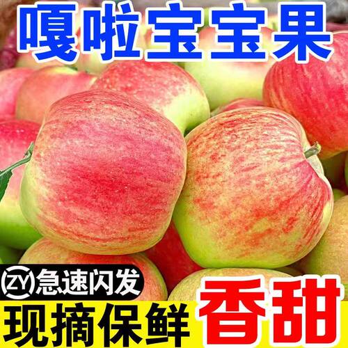 紫玉环陕西嘎啦苹果当季新鲜水果