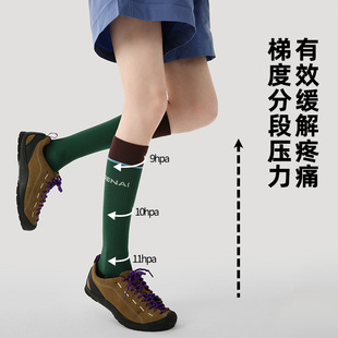 文艺复兴袜子微压骑行运动压力袜专业跑步跳绳健身小腿肌能长筒袜