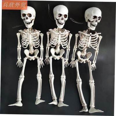 HalloweenskthaudcoriPp