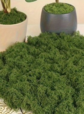 Green Fake Moss DIY Crafts Grass Artificial Moss Faux Preser