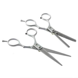 2 X Professional Barber Hair Cutting Thinning Scissors Shear