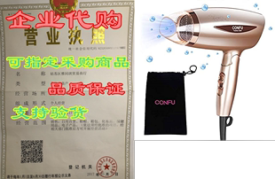 Ceramic CONFU Hair Ionic Folding 1600W Dryer Portable