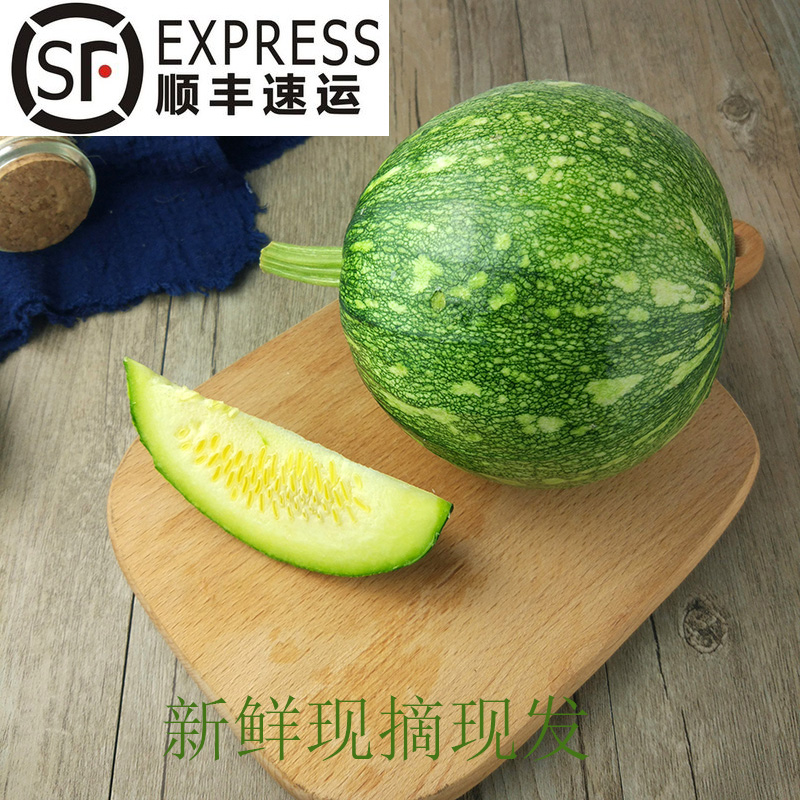 貴州新鮮蔬菜新鮮鮮嫩小南瓜煮素菜南瓜仔青菜瓜5斤順豐包郵