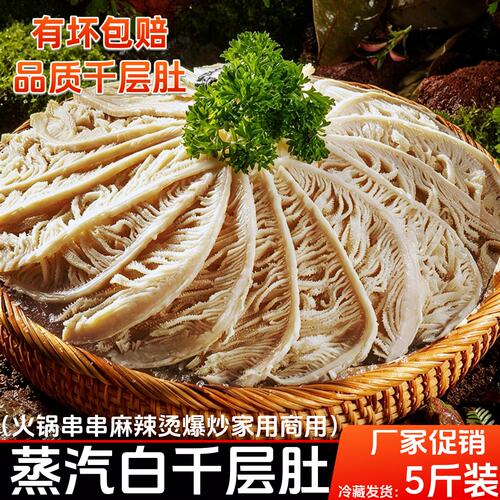 蒸汽水煮白千层毛肚5斤装牛百叶