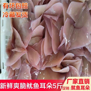 包邮鱿鱼5斤水发鱿鱼耳朵重庆火锅食材配菜新鲜鱿鱼鲜活冷冻海鲜
