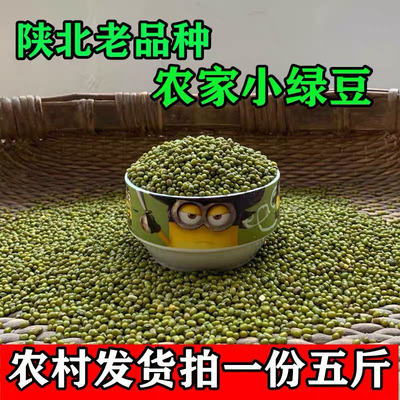 陕北新小绿豆坝上农家自种绿豆绿豆汤绿豆沙发豆芽新鲜绿豆5斤装