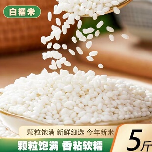 陕北新鲜农家糯米江米包粽子专用甜酒酿优选大圆粒白糯米五斤包邮
