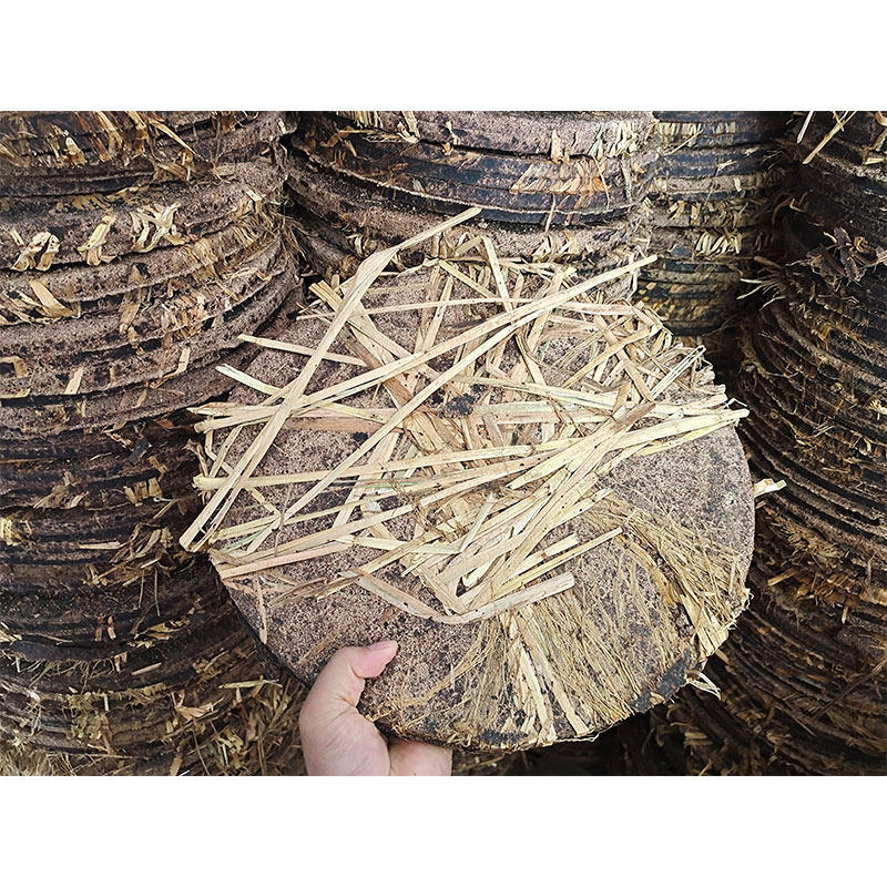 新货广西天然家用茶麸茶枯饼茶籽饼洗头洗发养发茶油渣饼水枯粉