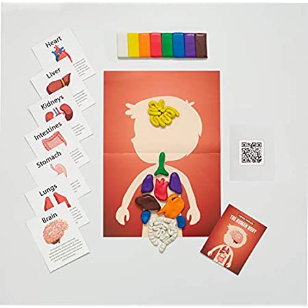 Science Arts and Crafts Kids DIY Kit- The Human Body-封面