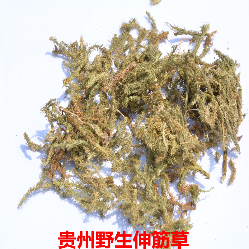 农家自晒野生伸筋草251g克 舒筋草 通筋草泡脚达透骨香中药材包邮
