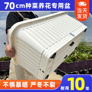 原起点阳台蔬菜塑料种菜盆花盆长方形家庭特大种植箱加厚室内专用