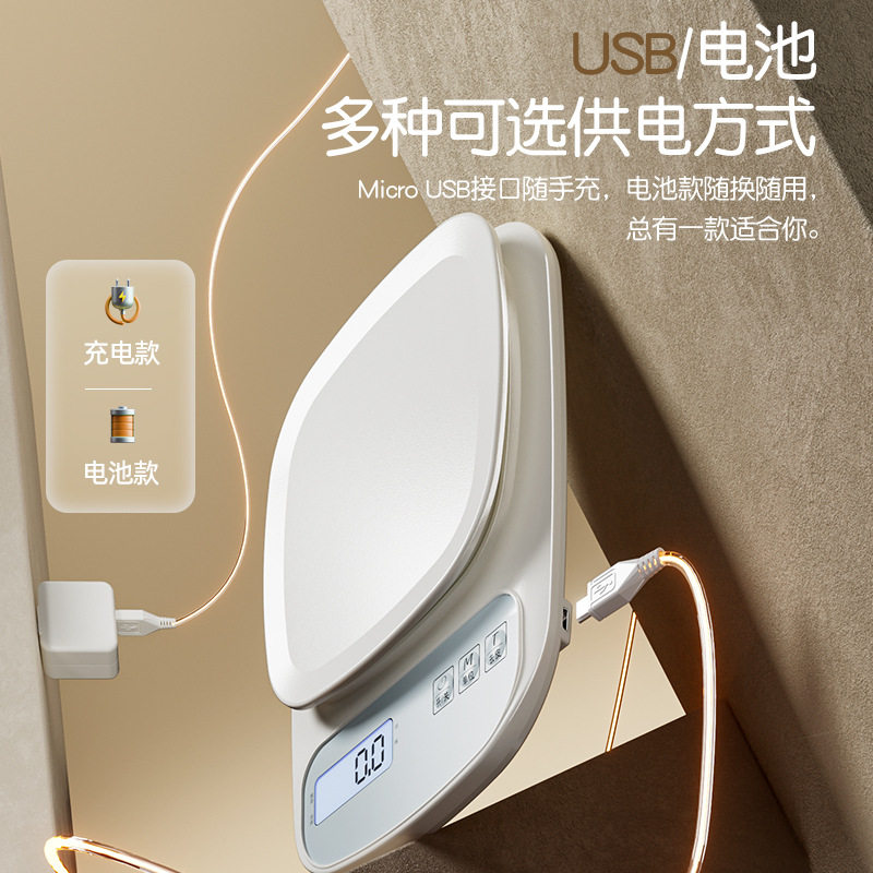 电子秤小型克重称高精度