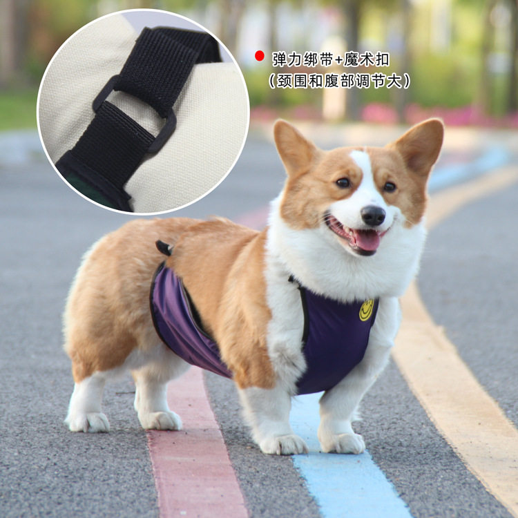 中小型犬狗狗防水肚兜防